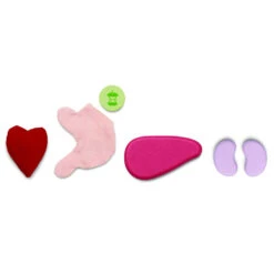 Plantoys Surgeon Set -Tiny Baby Essentials Store 3703 Surgeon Set PS 4