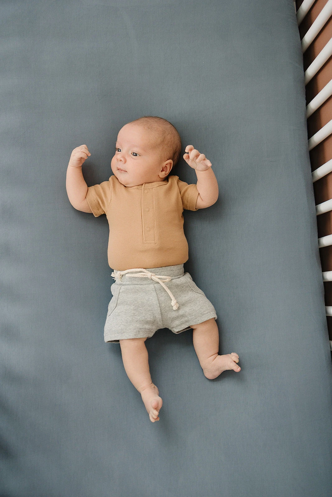 Organic Cotton Ribbed Snap Bodysuit | Cafe 3 Organic Cotton Ribbed Snap Bodysuit | Cafe - Image 3
