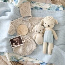 Benjamin The Lamb -Tiny Baby Essentials Store 41ffe5a7e3e767fe93486ad2314b67ca104ae4c03a0f1e6fc6617a6fcac2725d