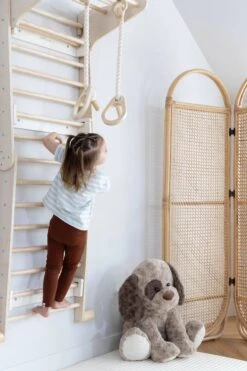 Montessori 2-in-1 Triangle & Wall Climber 20 Montessori 2-in-1 Triangle & Wall Climber -Tiny Baby Essentials Store 42d4840f19eec6a895871dd8acd283d4e4c63a0ed4cfec059e88816ad884191a