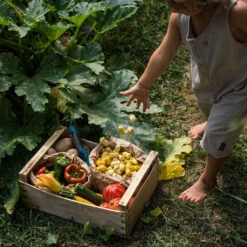 Mandala Tulips 7 Mandala Tulips -Tiny Baby Essentials Store Art 22 240 Mandala Tulip MG 0004 Joguines Grapat scaled 1