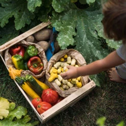 Mandala Tulips 6 Mandala Tulips -Tiny Baby Essentials Store Art 22 240 Mandala Tulip MG 0005 Joguines Grapat scaled 1