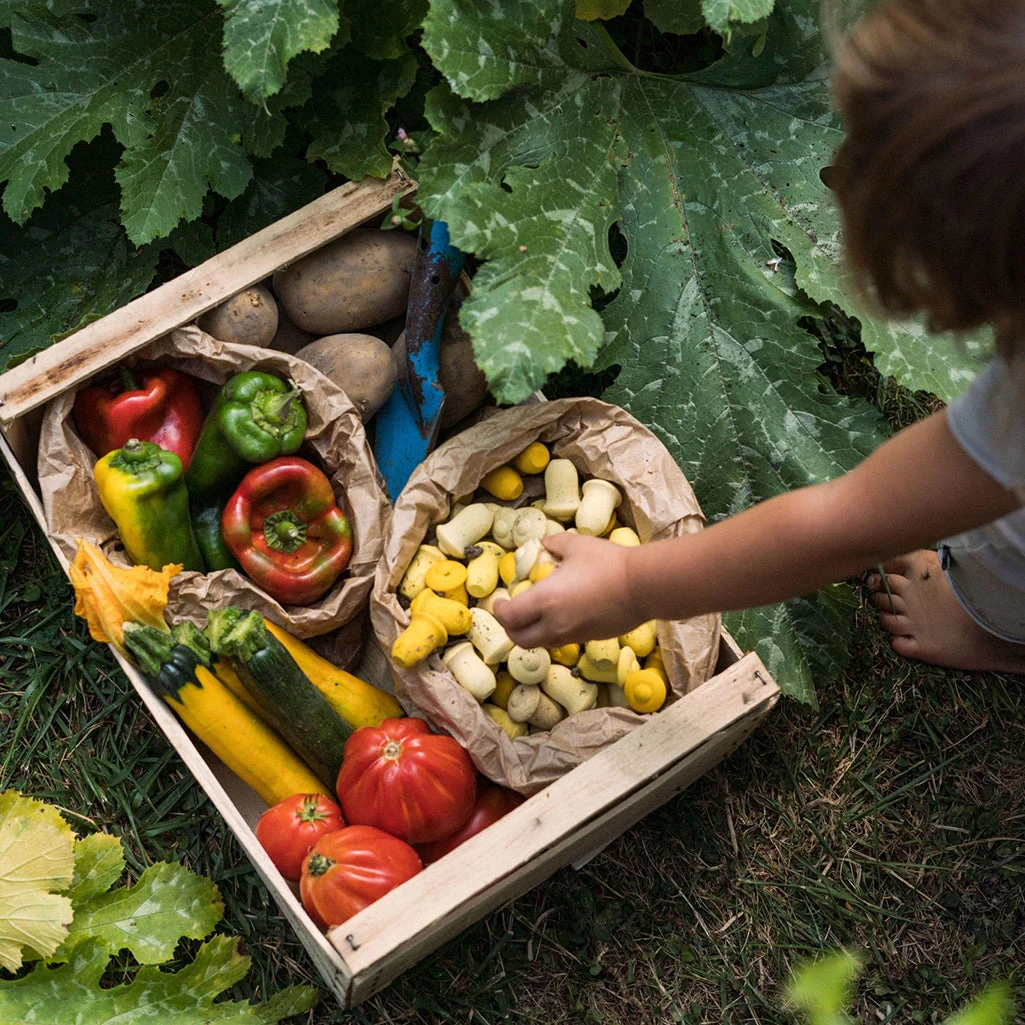 Mandala Tulips 3 Mandala Tulips - Image 3
