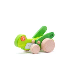 Pull-Back Toy | Cicada