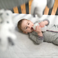 GentleBottle Silicone Baby Bottle Multi-Pack -Tiny Baby Essentials Store Gentlebottle LS 2 e1c7d77b c08b 4e73 9675 519aa08e96f6