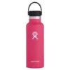 Hydro Flask 18oz Standard Mouth Water Bottle With Flex Cap Lid | Watermelon