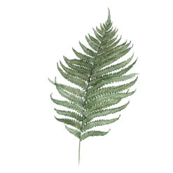 Organic Cotton Muslin Large Quilt Blanket | Fern -Tiny Baby Essentials Store House of elia fern pattern 1