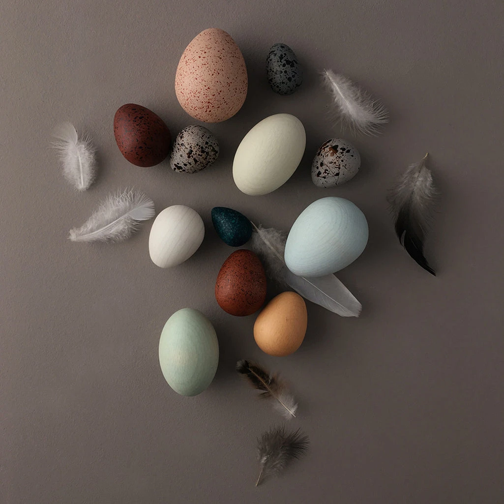 Dozen Bird Egg Box 4 Dozen Bird Egg Box - Image 4