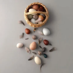 Wooden Egg Basket -Tiny Baby Essentials Store MOONPICNICeggbasketalt2
