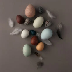 Wooden Egg Basket -Tiny Baby Essentials Store MOONPICNICeggbasketalt3