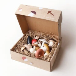 Forest Mushroom Box Set