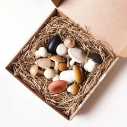 Forest Mushroom Box Set -Tiny Baby Essentials Store MOONPICNICmushroomboxalt1