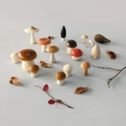 Forest Mushroom Box Set -Tiny Baby Essentials Store MOONPICNICmushroomboxalt3