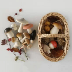 Wooden Mushroom Basket Set
