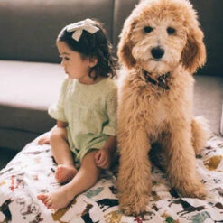 Cotton Muslin Quilted Throw - Woof 12 Cotton Muslin Quilted Throw - Woof -Tiny Baby Essentials Store UB1710 12267