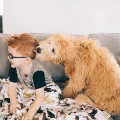 Cotton Muslin Quilted Throw - Woof 13 Cotton Muslin Quilted Throw - Woof -Tiny Baby Essentials Store UB1710 12271