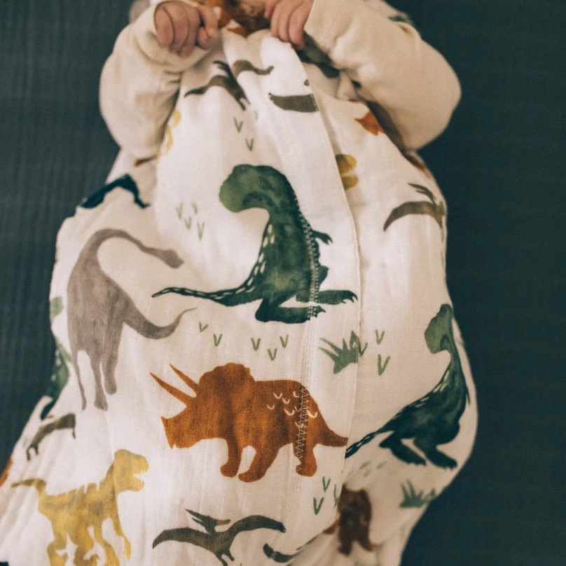 Cotton Muslin Sleep Bag - Dino Friends 5 Cotton Muslin Sleep Bag - Dino Friends - Image 5