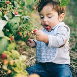 Little Unicorn Cotton Classic Bib 35 Little Unicorn Cotton Classic Bib -Tiny Baby Essentials Store UF0018 11202