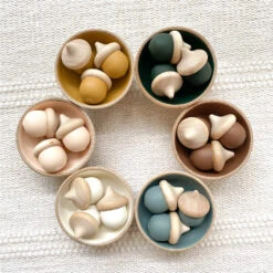 Acorn Sorting Set