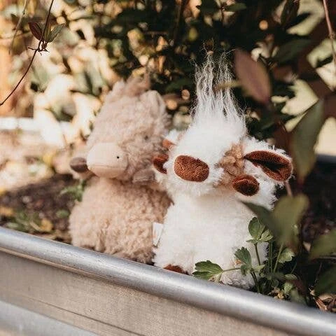 Wee Moo Moo The Cow 5 Wee Moo Moo The Cow - Image 5