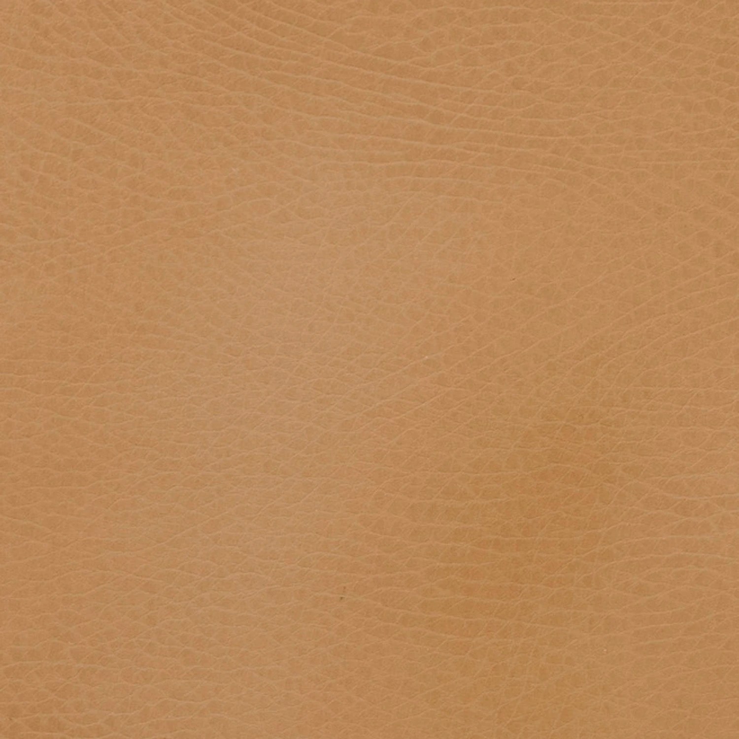 Small Caddy 10 Small Caddy - Image 10