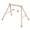 Plantoys Play Gym
