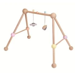 Plantoys Play Gym