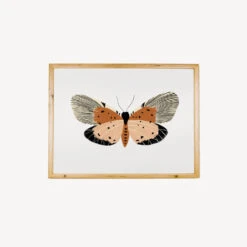 Butterfly Wall Art Room Decor 7 Butterfly Wall Art Room Decor -Tiny Baby Essentials Store pnkbutterfly 40c65313 315b 40f6 a93b ac31b2f2f4c3
