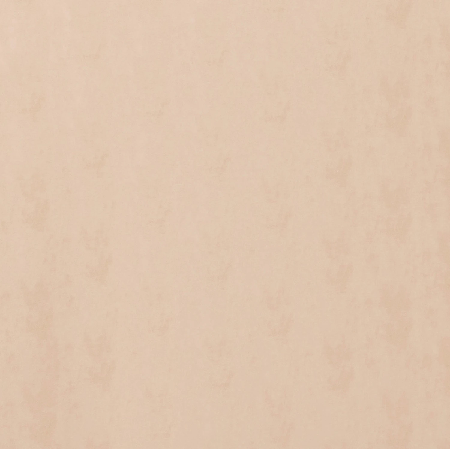 Small Caddy 5 Small Caddy - Image 5