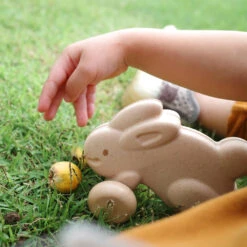 Plantoys Push Along Bunny 9 Plantoys Push Along Bunny -Tiny Baby Essentials Store whitebunnygrass