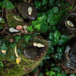 Wild Play Set 5 Wild Play Set -Tiny Baby Essentials Store wild playset3